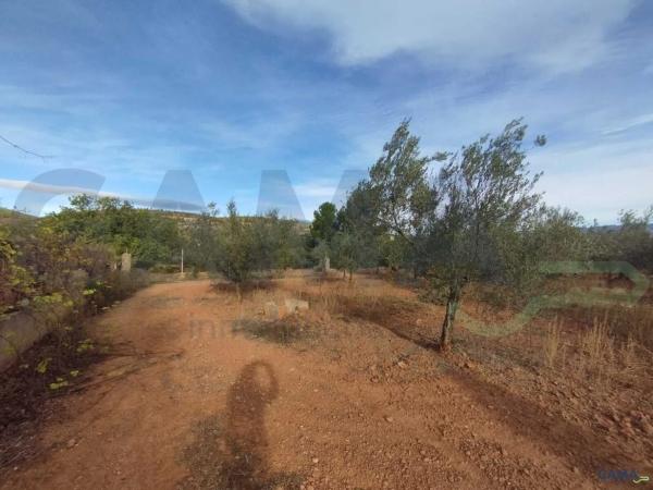 Terreno en Algimia de Alfara