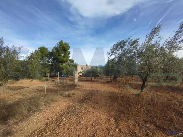 Terreno en Algimia de Alfara