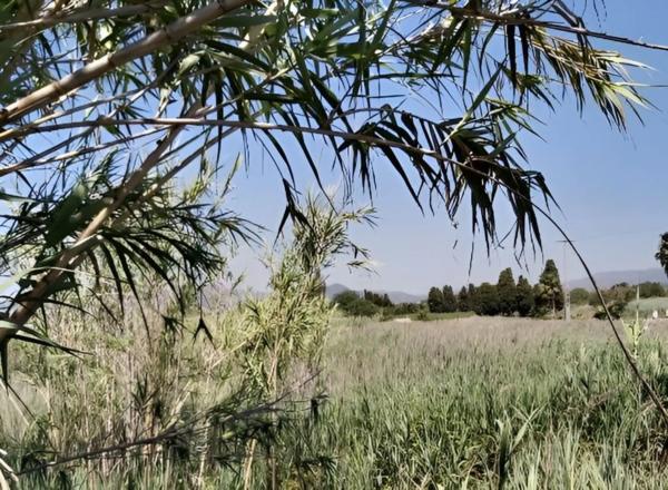 Terreno en plaza Numero 29