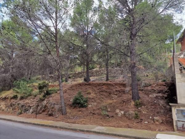 Terreno en C. 6, 43 D