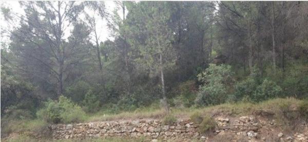 Terreno en Lugar Urbanizacion Montes del Palancia, 45 D