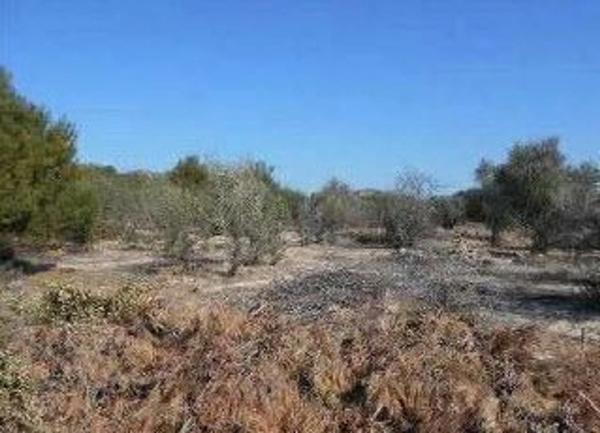 Terreno en via sense nom