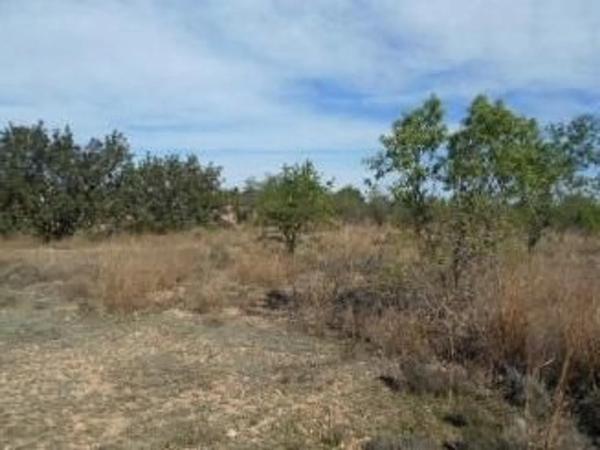 Terreno en via sense nom