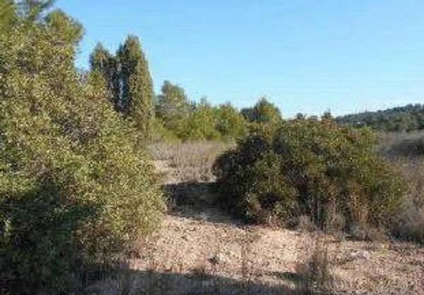 Terreno en via sense nom