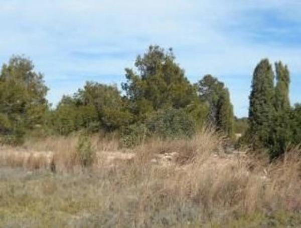 Terreno en via sense nom