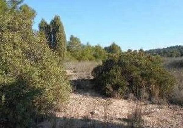 Terreno en via sense nom