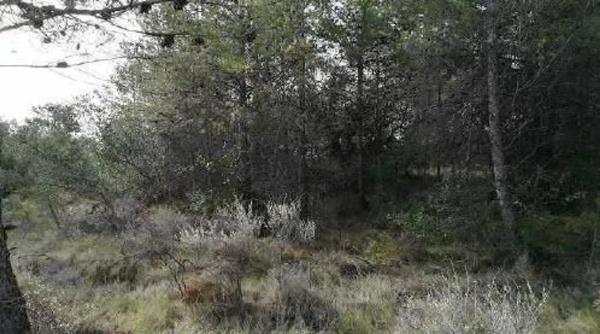 Terreno en via sense nom