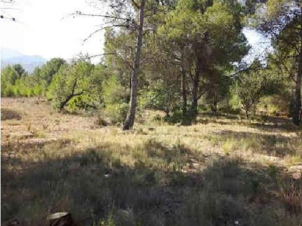 Terreno en via sense nom