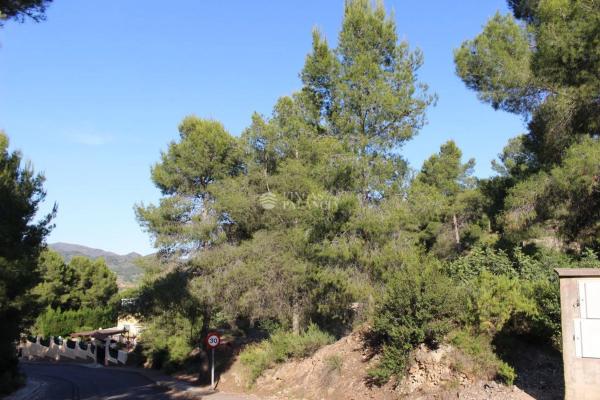 Terreno en travesía el Rosal, 100