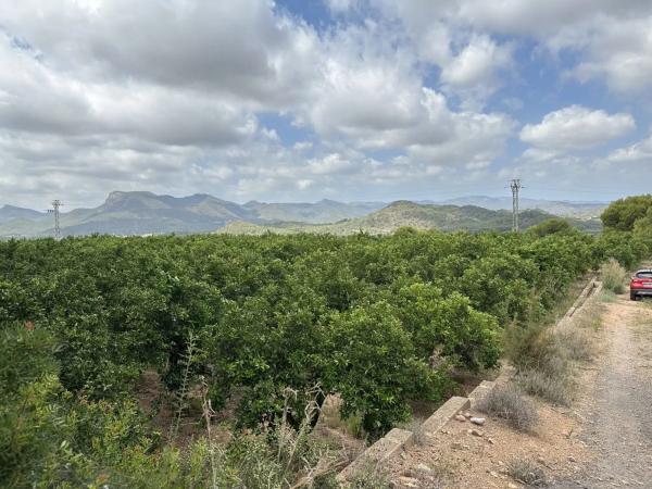 Terreno en Doctor Palos - Alto Palancia