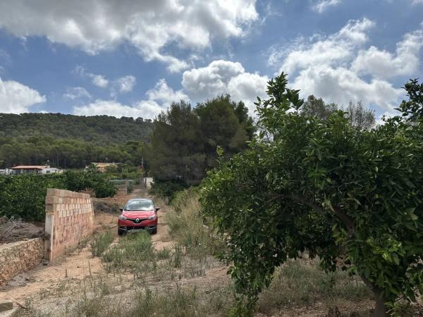 Terreno en Doctor Palos - Alto Palancia