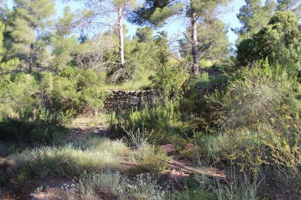 Terreno en travesía el Rosal, 100