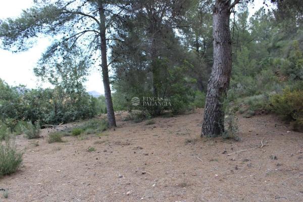 Terreno en travesía el Rosal, 100