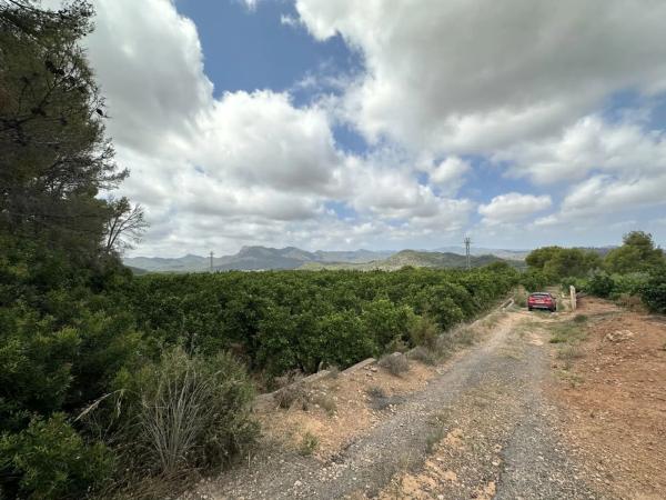 Terreno en Doctor Palos - Alto Palancia
