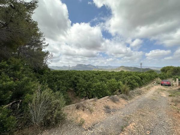 Terreno en Doctor Palos - Alto Palancia