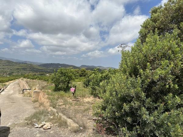 Terreno en Doctor Palos - Alto Palancia