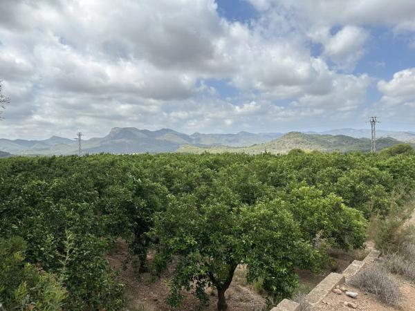 Terreno en Doctor Palos - Alto Palancia