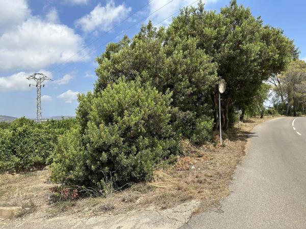 Terreno en Doctor Palos - Alto Palancia