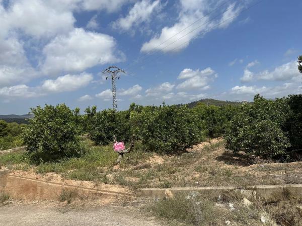 Terreno en Doctor Palos - Alto Palancia