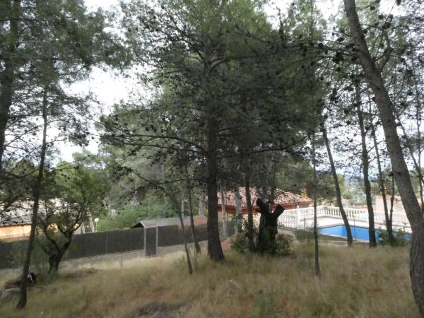 Terreno en calle El tochar, 100