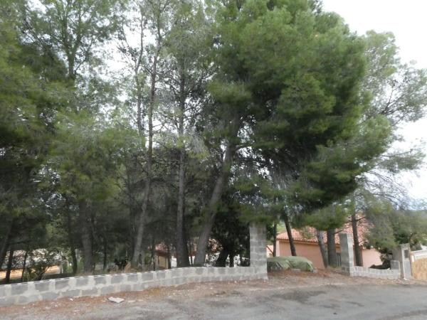 Terreno en calle El tochar, 100