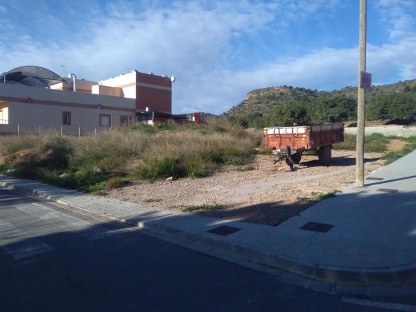 Terreno en Algimia de Alfara