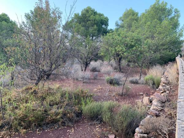 Terreno en calle València, 21