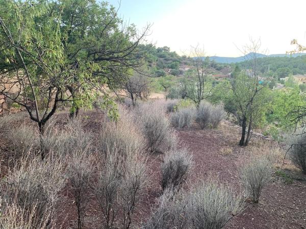 Terreno en calle València, 21