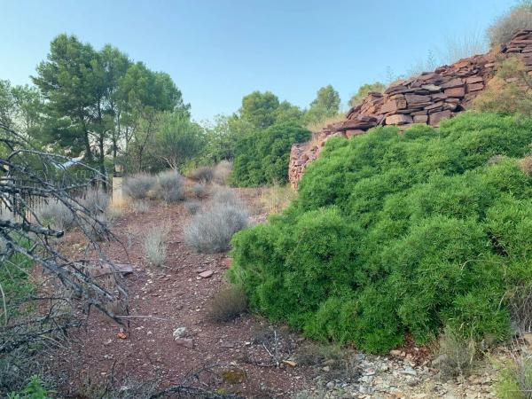 Terreno en calle València, 21
