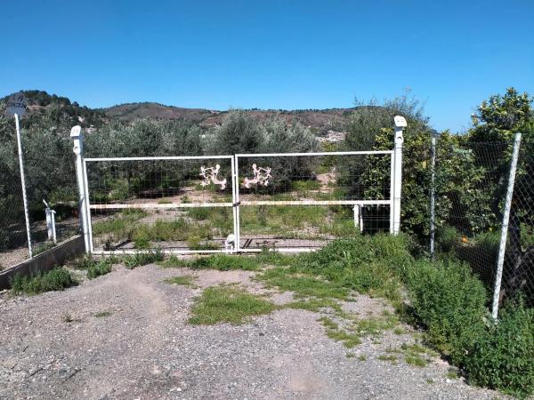 Terreno en carretera A-23 s/n