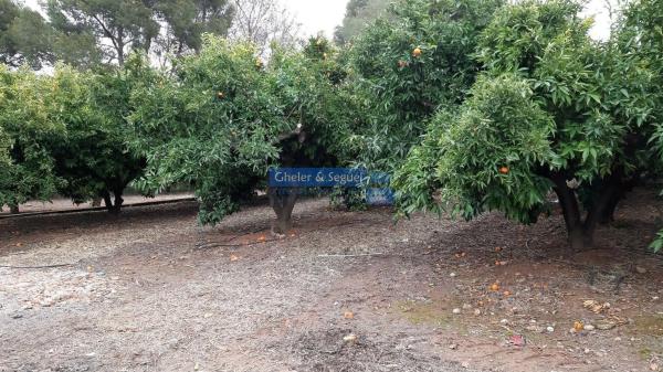 Terreno en Antigua Moreria