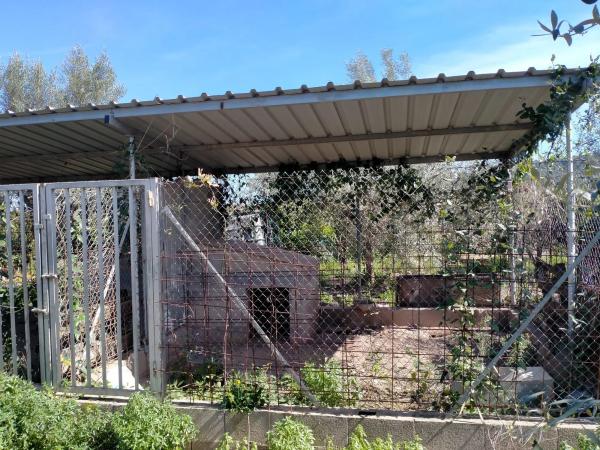 Terreno en carretera A-23 s/n