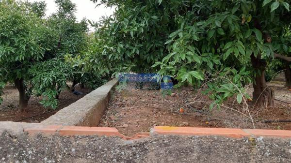 Terreno en Antigua Moreria