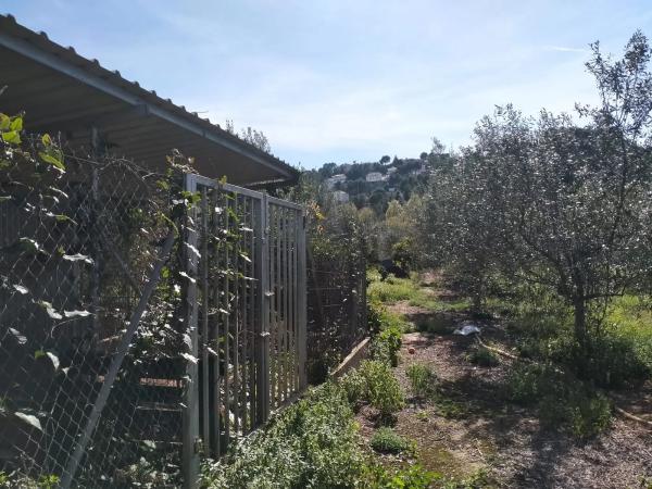 Terreno en carretera A-23 s/n