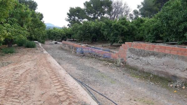 Terreno en Antigua Moreria