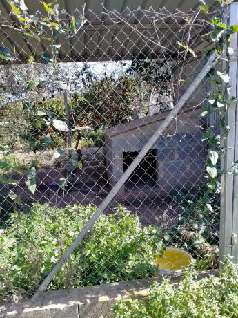 Terreno en carretera A-23 s/n