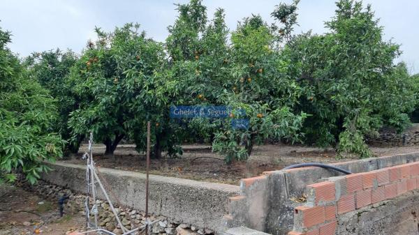 Terreno en Antigua Moreria