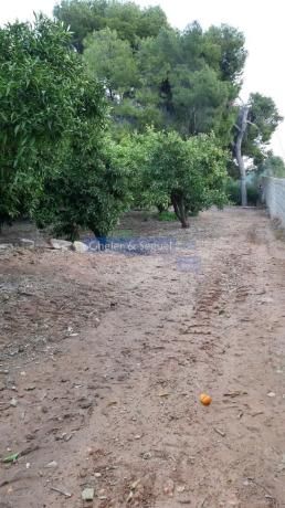 Terreno en Antigua Moreria