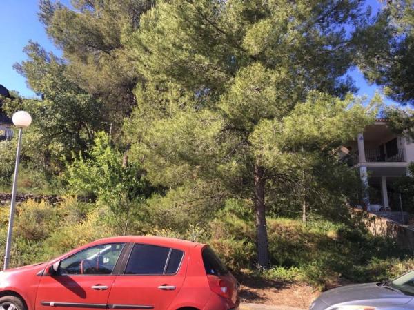 Terreno en Algar de Palancia