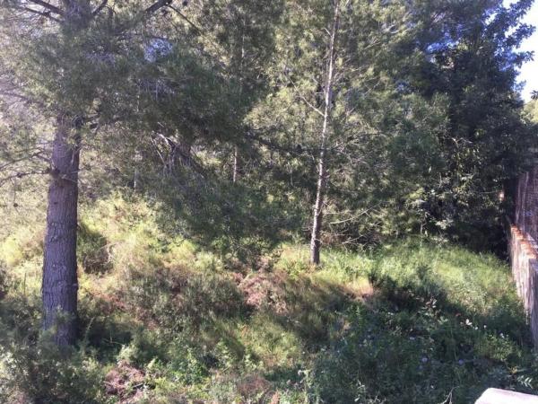 Terreno en Algar de Palancia