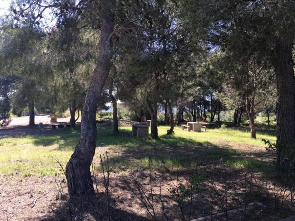 Terreno en Algar de Palancia