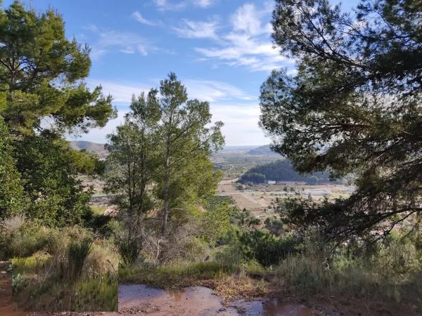 Terreno en Urbanización Balcón De La Peña
