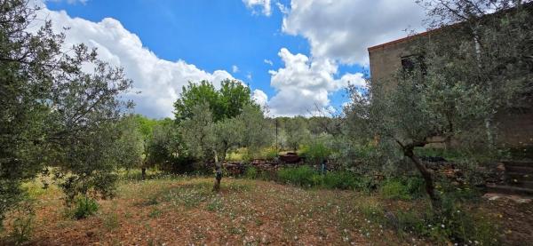 Terreno en cv310 s/n