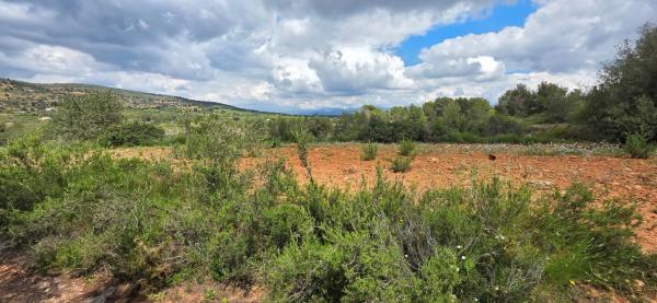 Terreno en cv310 s/n