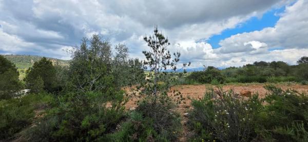 Terreno en cv310 s/n