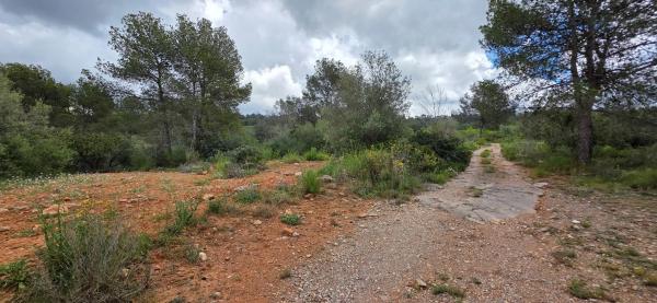 Terreno en cv310 s/n