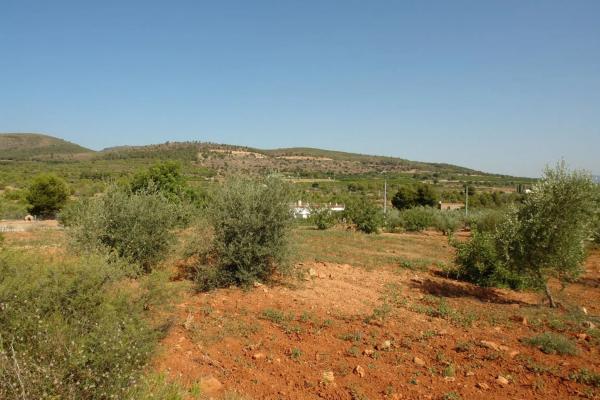 Terreno en cv310 s/n