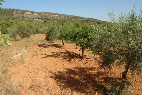 Terreno en cv310 s/n