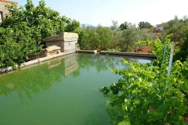 Terreno en cv310 s/n