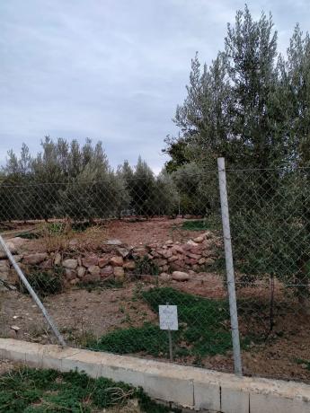 Terreno en plaza Poligono 1, 1